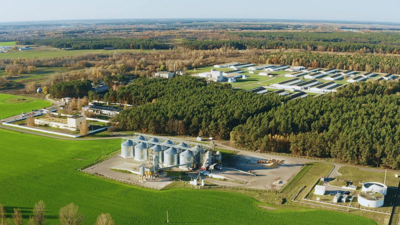 Boilers For Agriculture